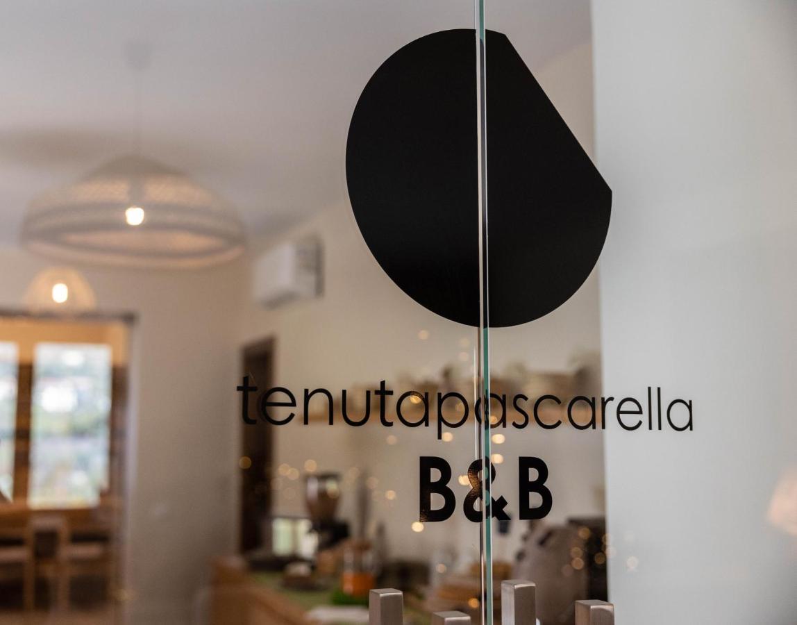 Tenuta Pascarella Bed & Breakfast Frasso Telesino Bagian luar foto
