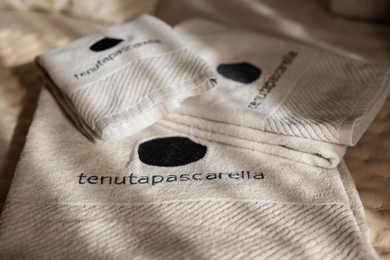 Tenuta Pascarella Bed & Breakfast Frasso Telesino Bagian luar foto